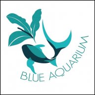 Phụ Kiện Blue Aquarium