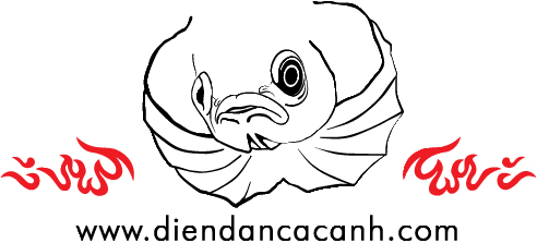 logodiendan.png