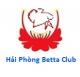 hung_2801