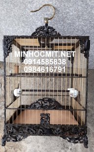 akcocolo