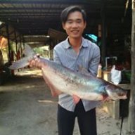 Cong