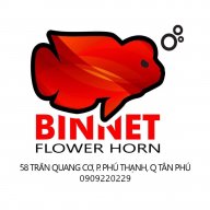 binnet77