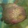 KKF86