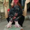 tiepthuy